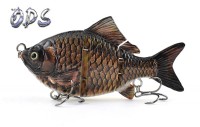 Carp Fish Mount