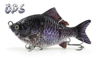 blackcarp