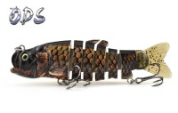 Carp Fish Mount