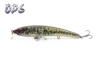 bass