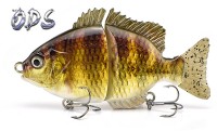  Two -section Bluegill sunfish  5.5